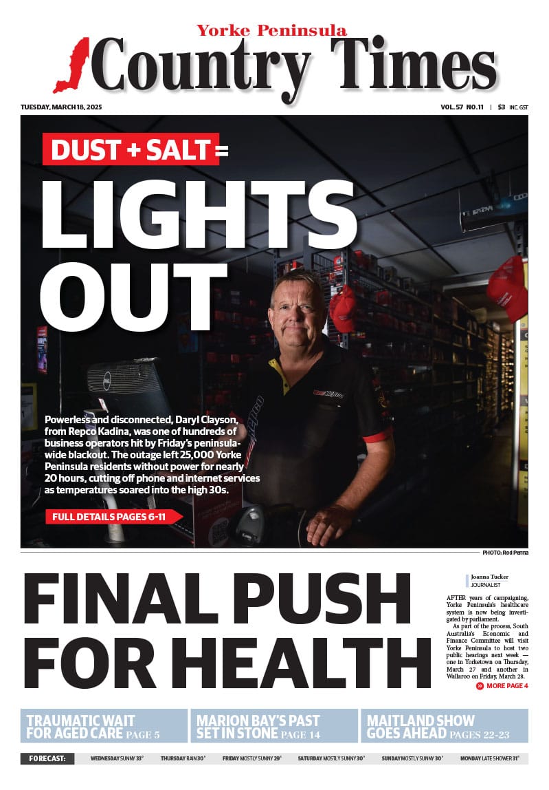 March 18, 2025 post image