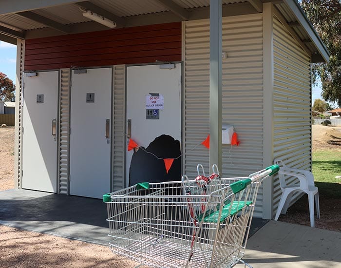 Vandals hit playground toilets post image