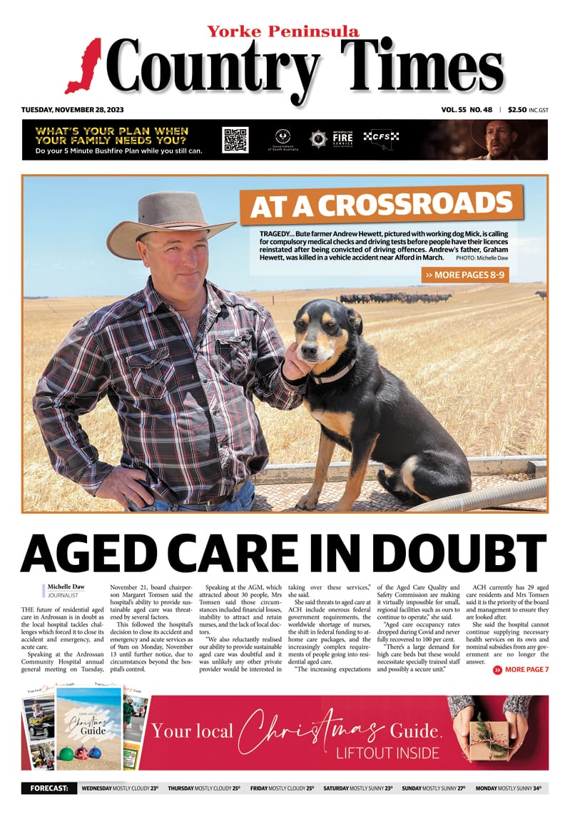 November 28, 2023 post image