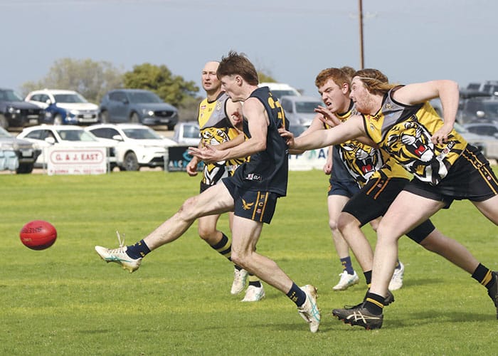 NAFA: Eagles find form before finals post image