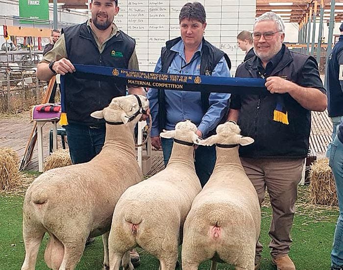 Anna Villa brings home ribbons post image