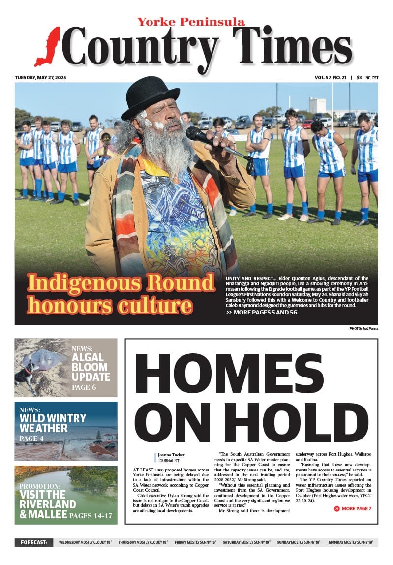 May 27, 2025 post image