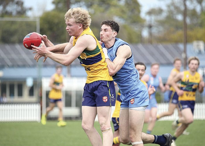 Mumford, Trengove stand out at Eagles junior awards post image