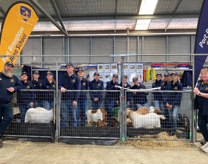 Goat success a team effort for NYP students at Royal Adelaide Show post image