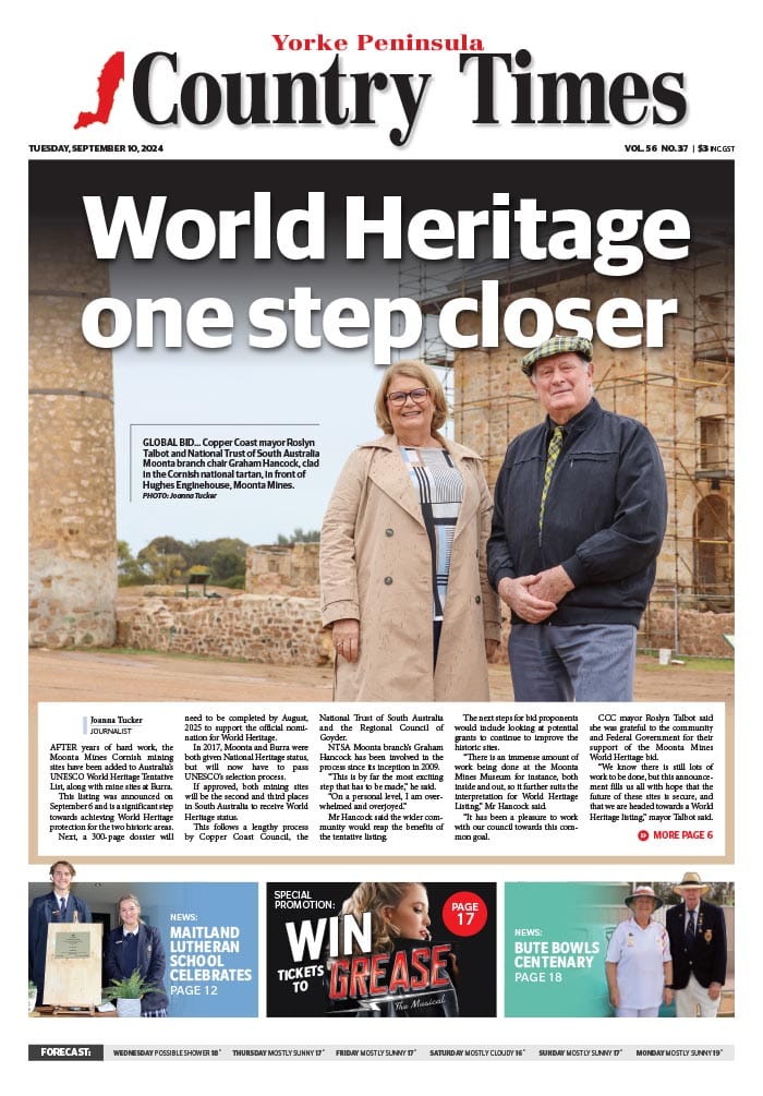 September 10, 2024 post image