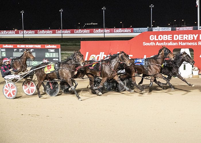 Yorke Peninsula harness racing news post image