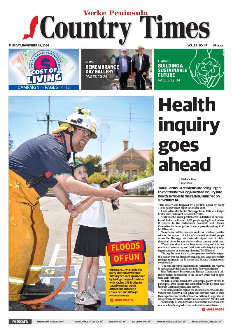 November 19, 2024 post image