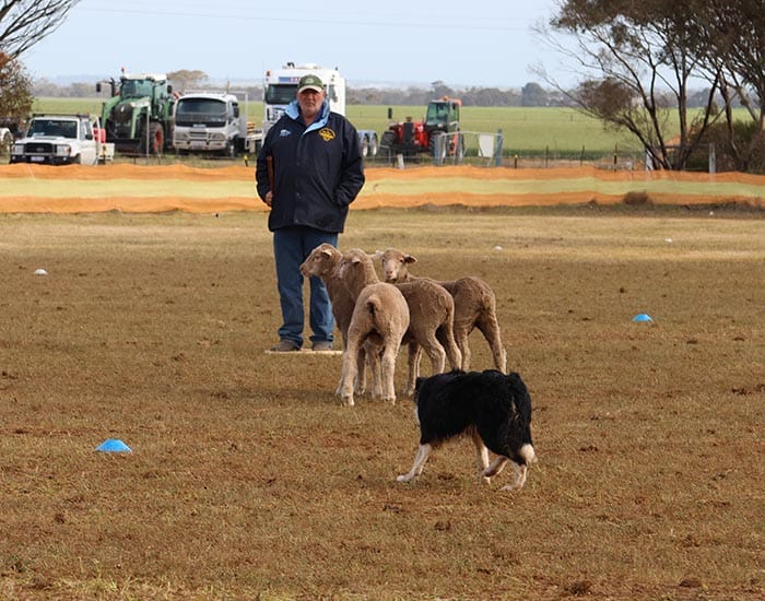 Tie breaker for top dog honours post image