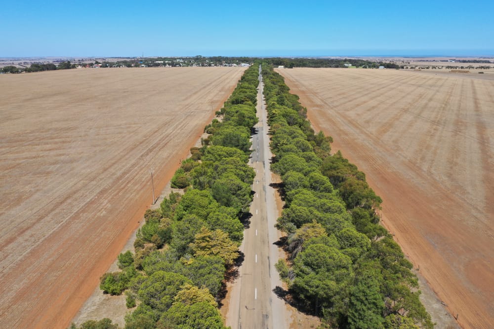 Road ratings withheld post image