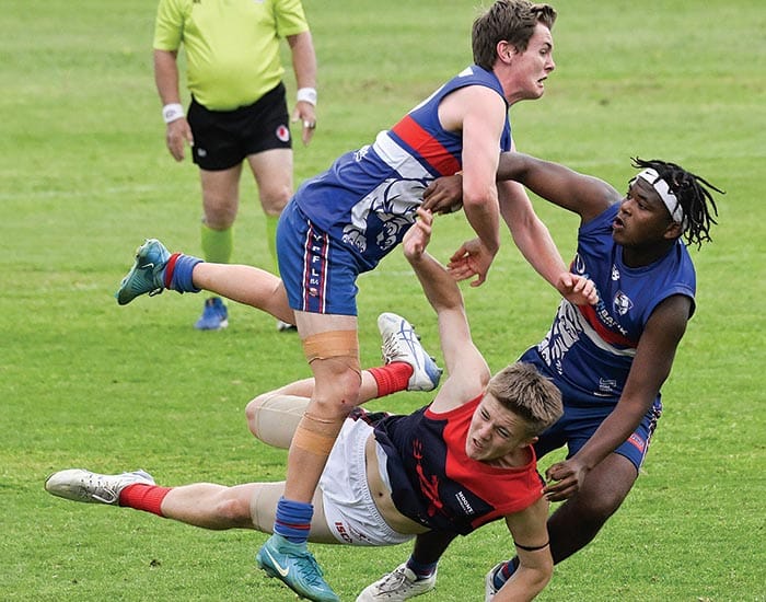 YPFL Senior Colts... Dogs eyeing off a four-peat post image