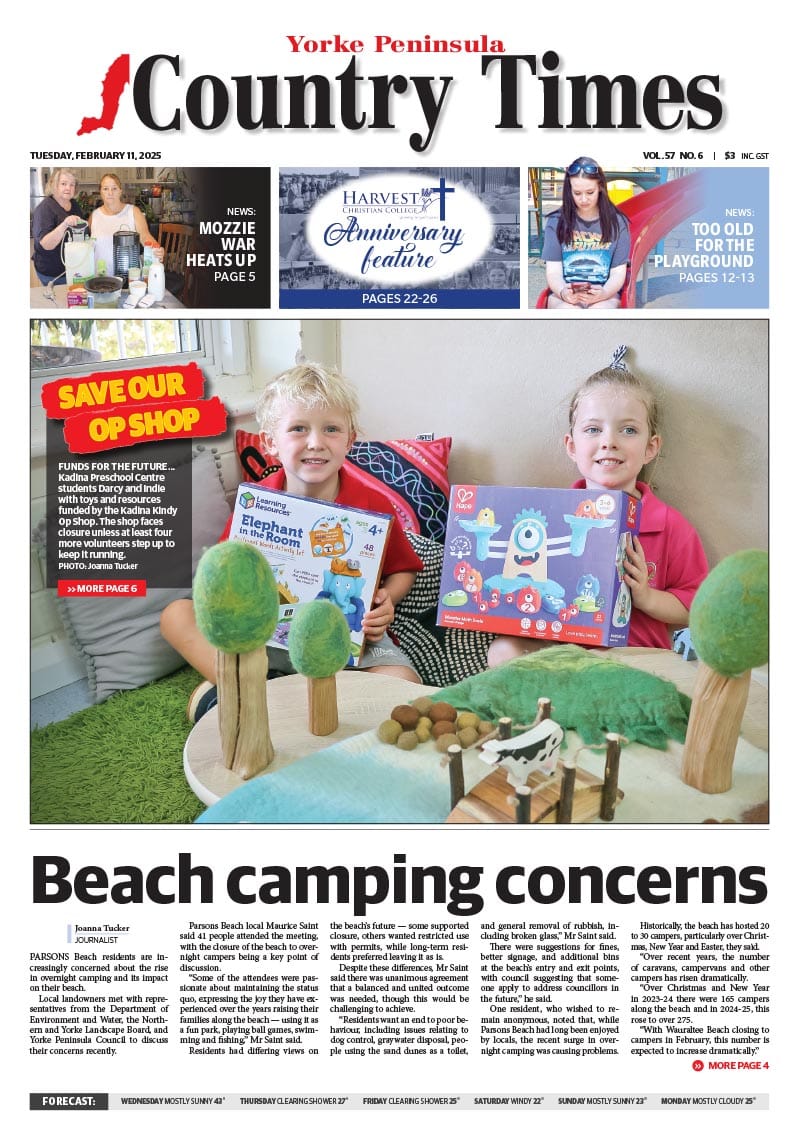 February 11, 2025 post image