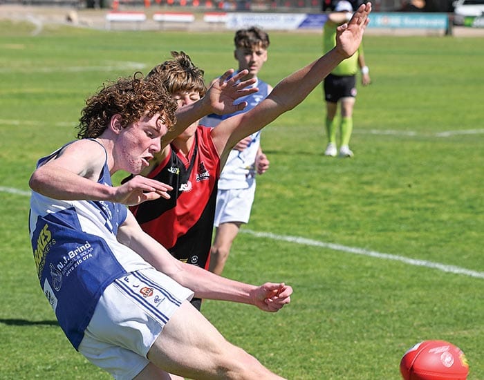 YPFL Senior Colts... Bloods cruise past Ardrossan into the prelim post image