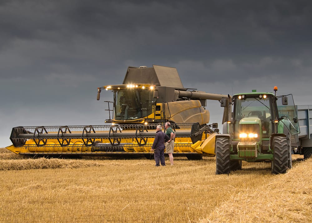 Unseasonal weather delays harvest post image
