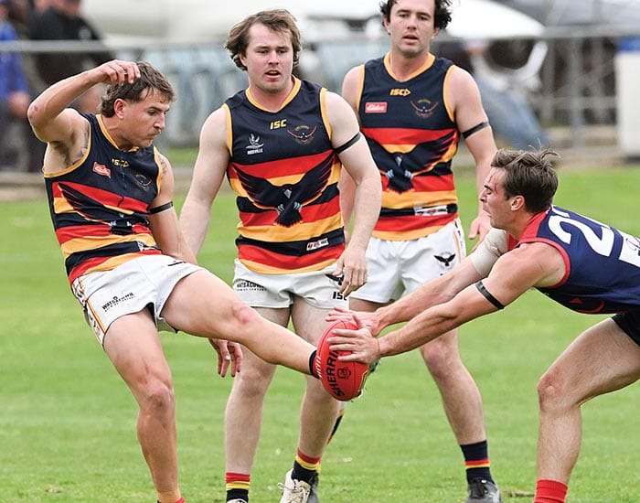YPFL A grade... CMS overcome Demons to reach grand final post image
