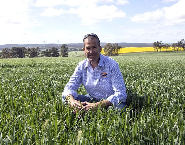 Spring: time to spruce up weed control post image