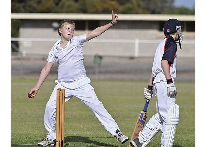 Cricket: YPCA and LYPCA results post image