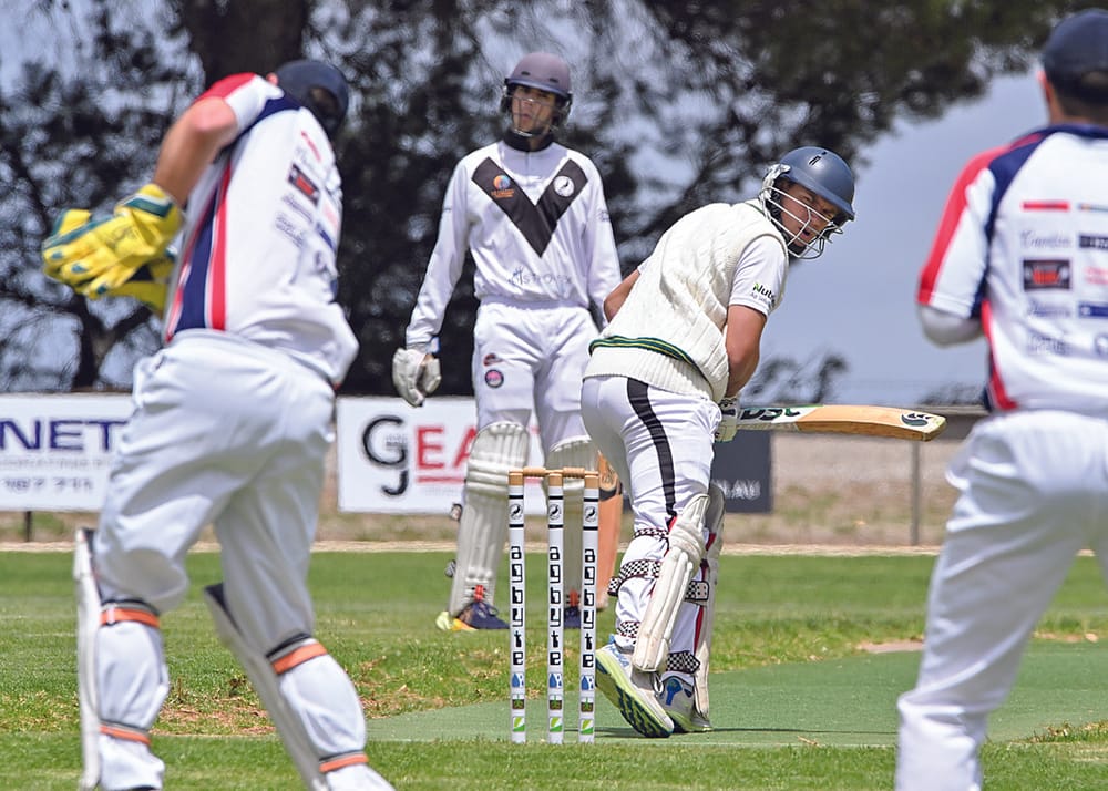 Cricket midseason report post image