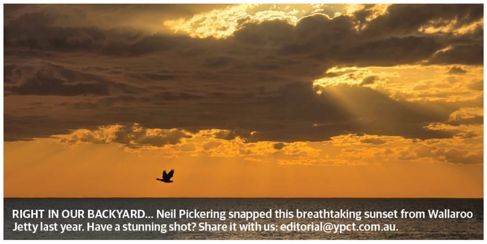 Stunning Pics post image