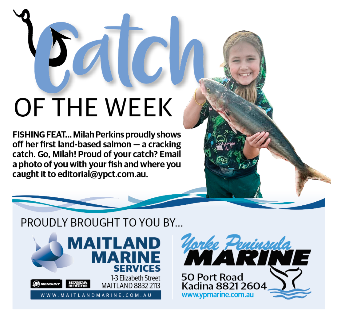 Catch of the Week post image