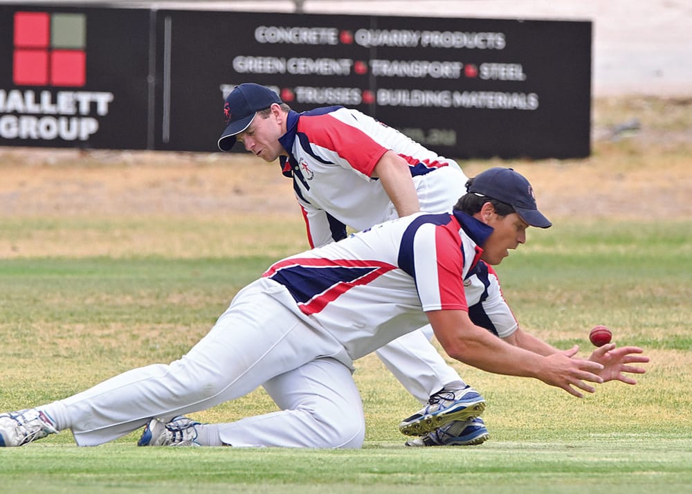 YP cricket scores post image