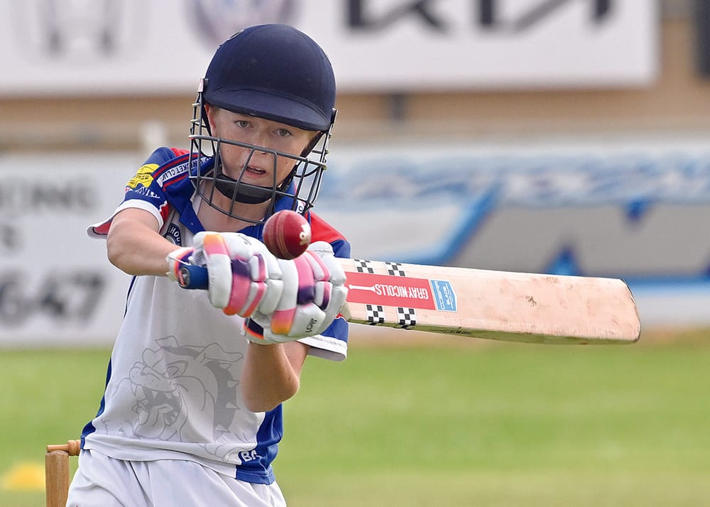 YP cricket roundup: Maiden century the highlight in weekend of big hitting post image