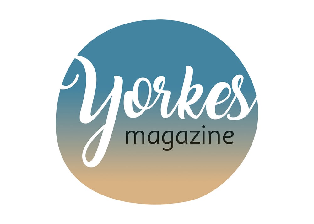 Yorkes Magazine Contact Information post image