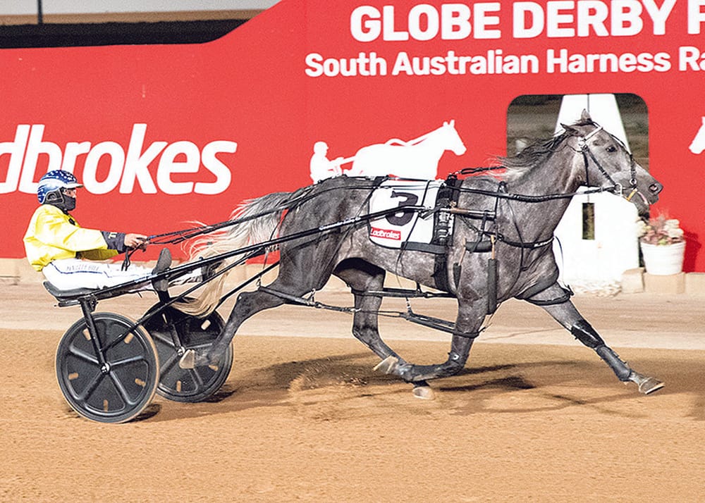 Hill faces key decision ahead of Pot of Gold final post image