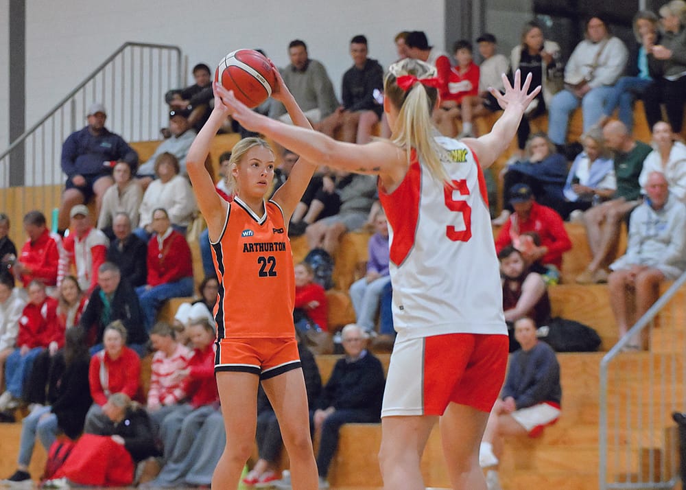 Basketball: Yorke Valley senior grand finals post image