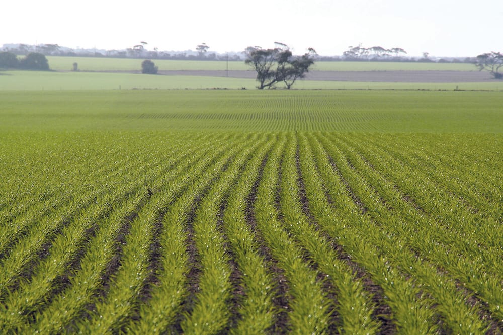 Rain, rain come again post image