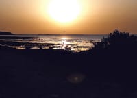 Stay safe warning as summer hots up post image