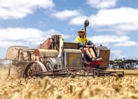 Vintage harvesters draw crowd post image