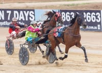 Annual YP Harness Racing Club meet post image