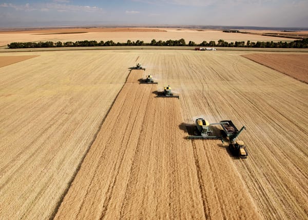 Harvest closes in as 2025 ends post image