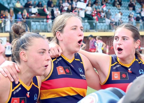 Biddell runner-up in Crows best and fairest post image