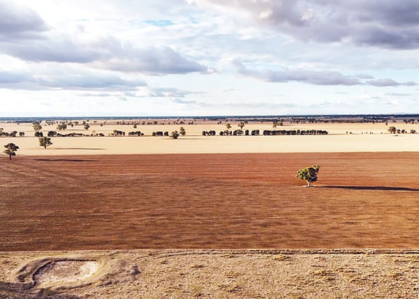 Extra funding for drought support post image