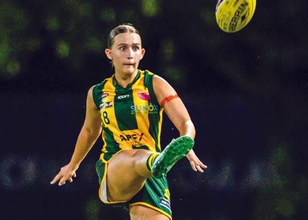 Cook chasing NTFL grand final glory with Pints Greenants post image