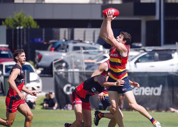 Burgess signs with West Adelaide post image