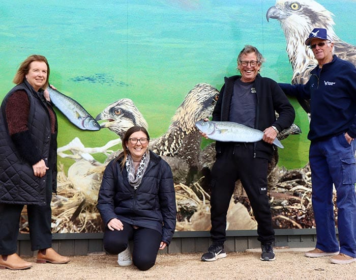 Conservation and art brings tourists post image