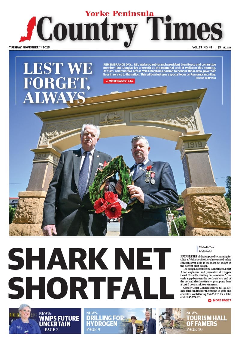 November 11, 2025 post image