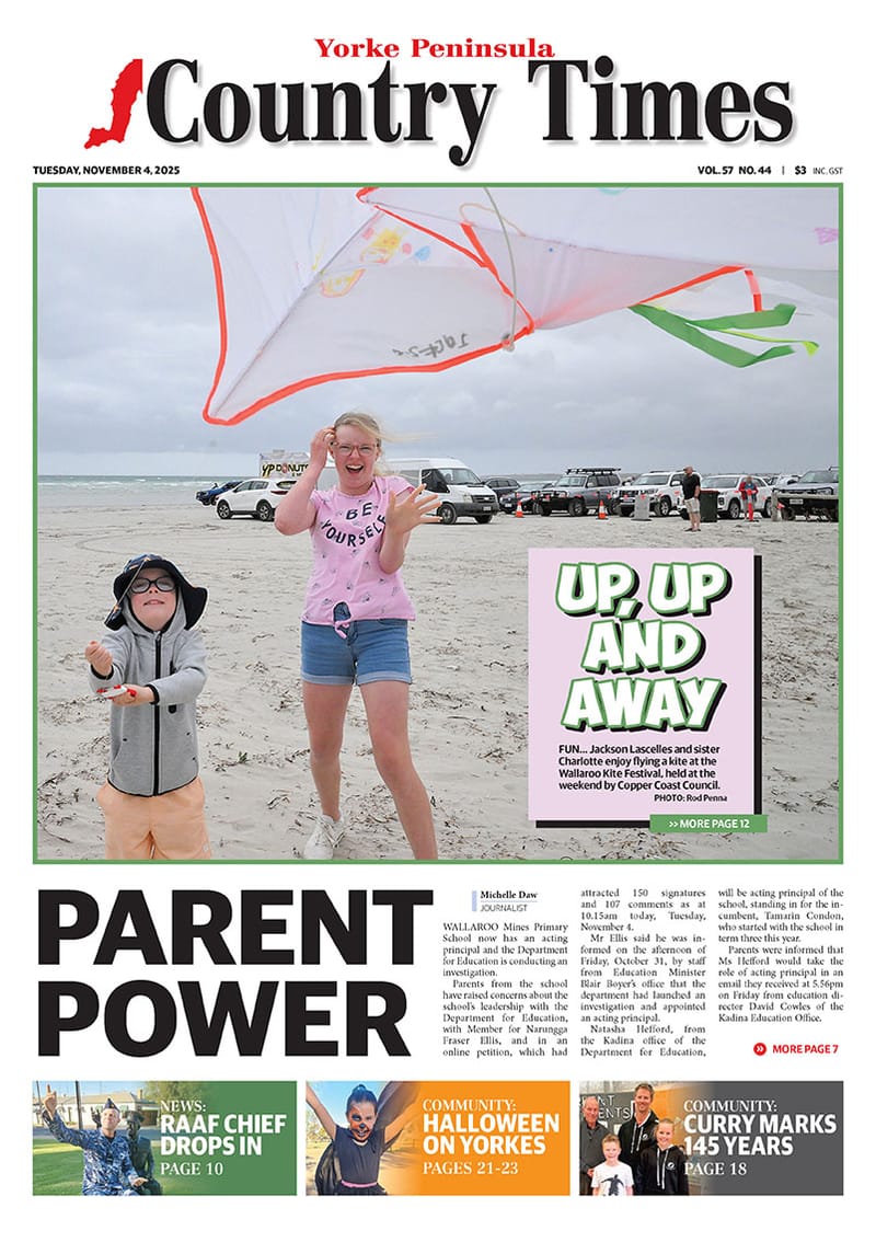 November 4, 2025 post image