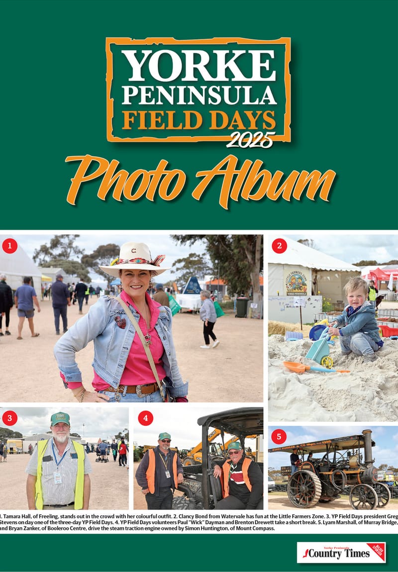 YPFD Photo Album post image