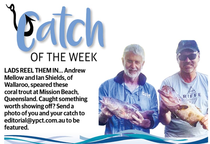 Catch of the Week post image