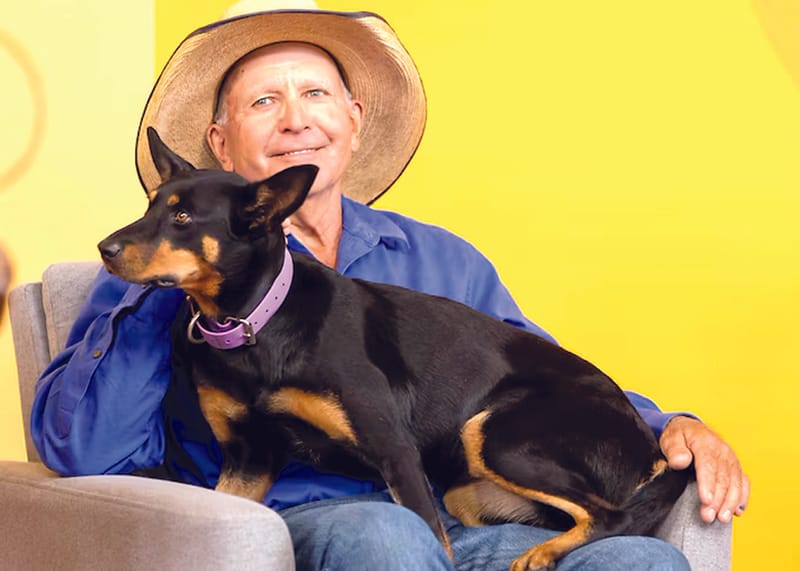 Portraits under pressure post image