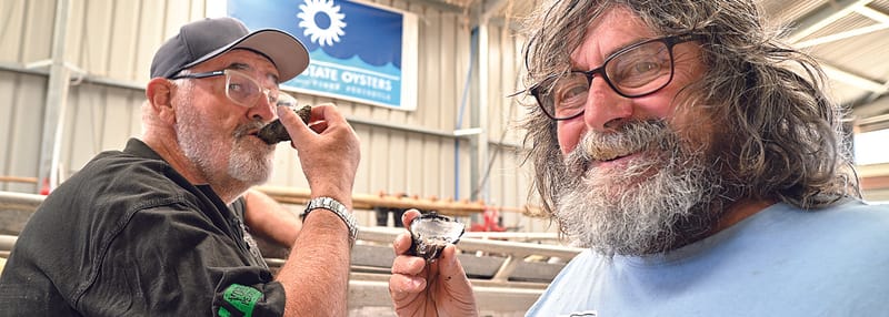 Oysters reopen at Stansbury post image