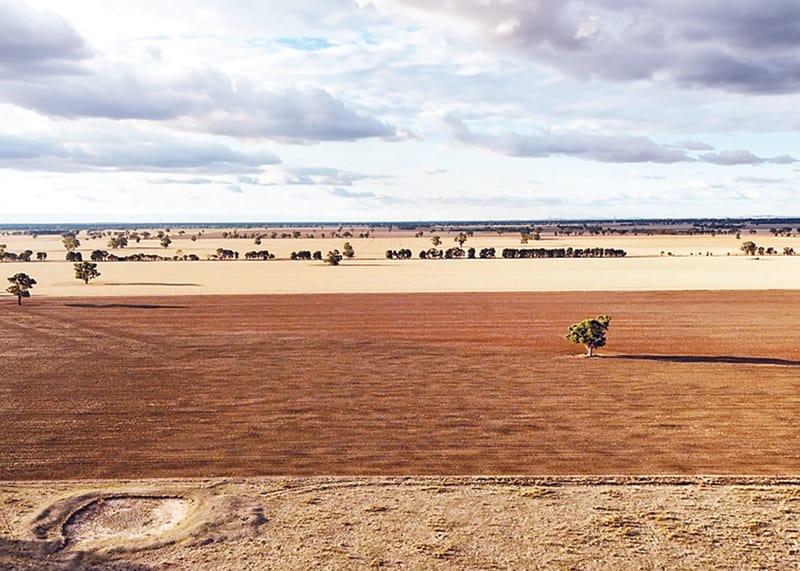 Extra funding for drought support post image