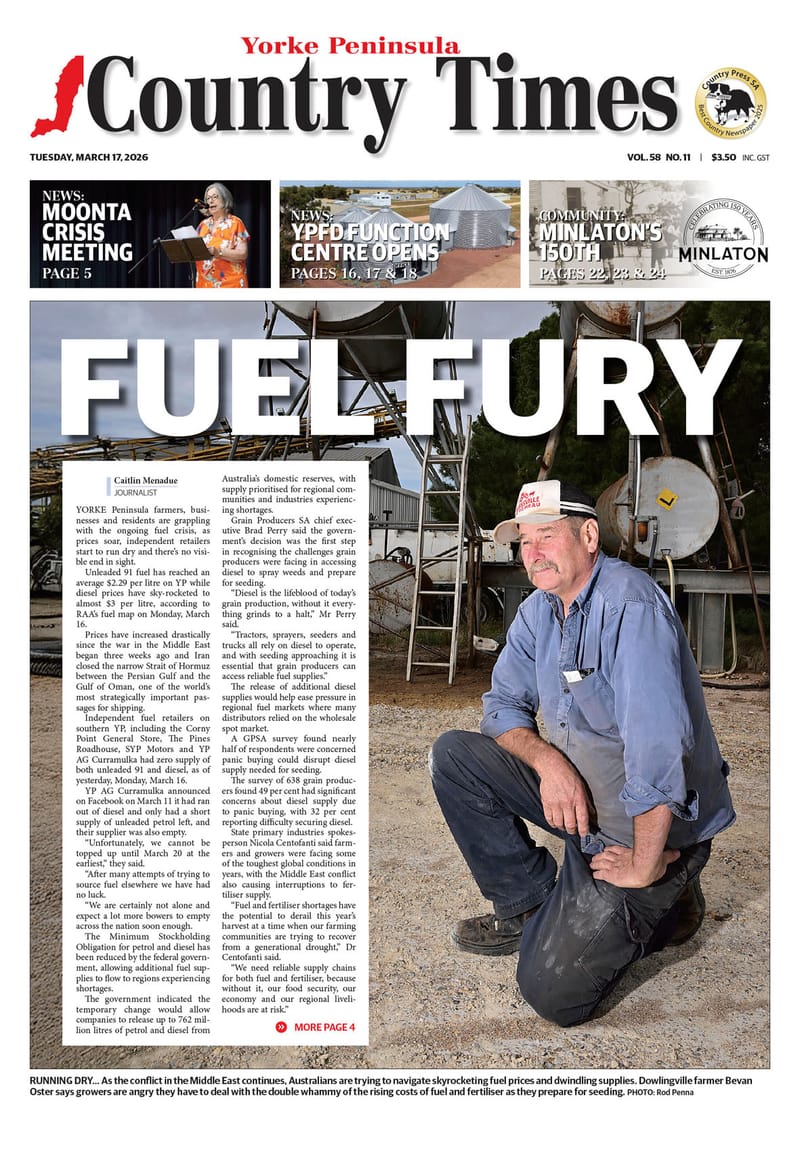 March 17, 2026 post image