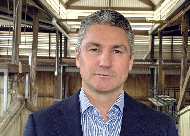 Producers urged to vote on sheep and cattle funds post image